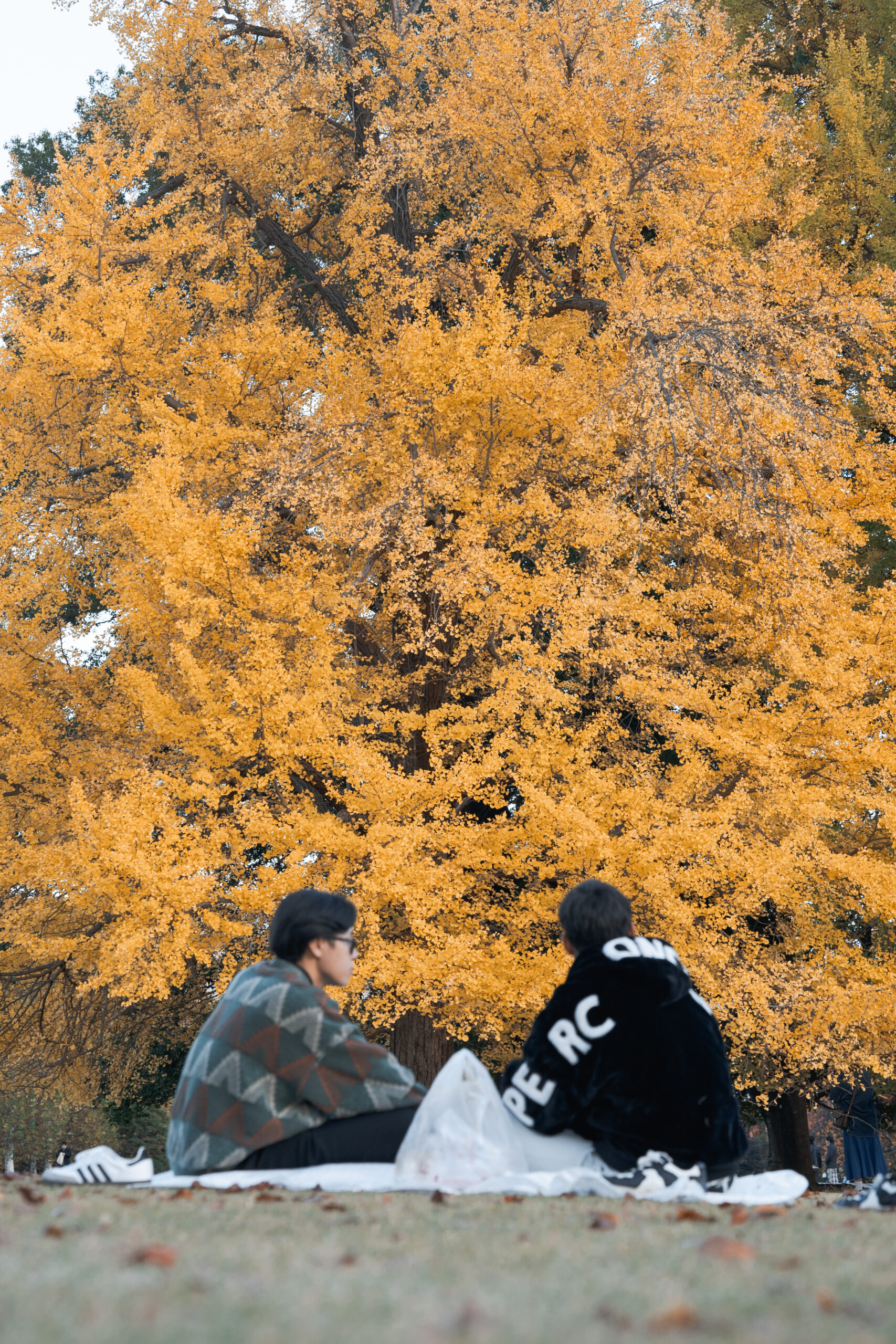 Shinjuku Gyoen – Tokyo