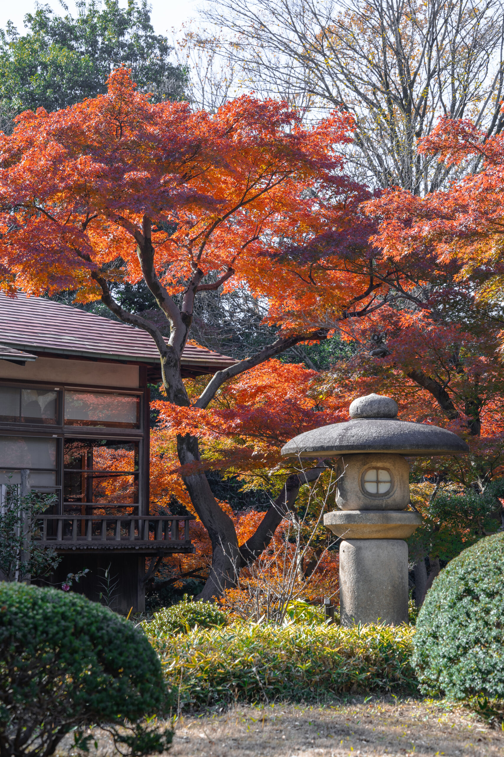 Koishikawa Korakuen – Tokyo