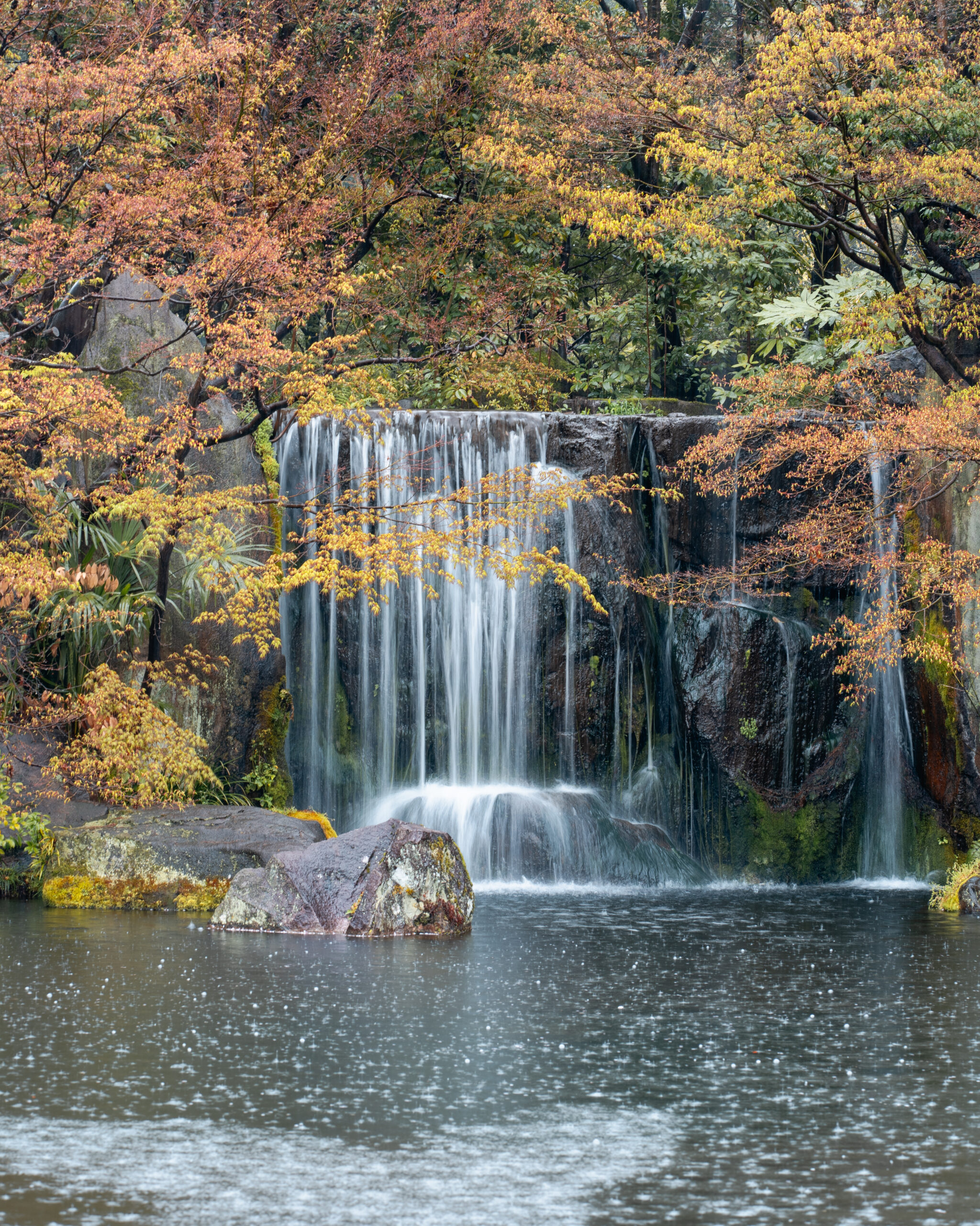 Waterfall – Japanse Garden