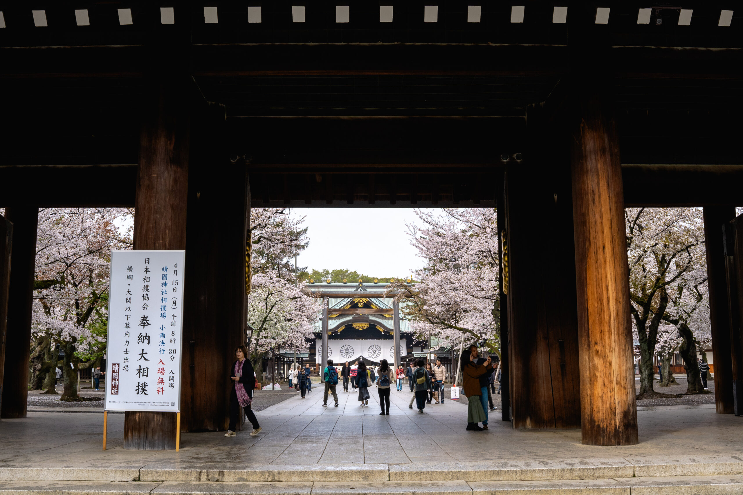 cherry blossoms – Yasukuni Jinja