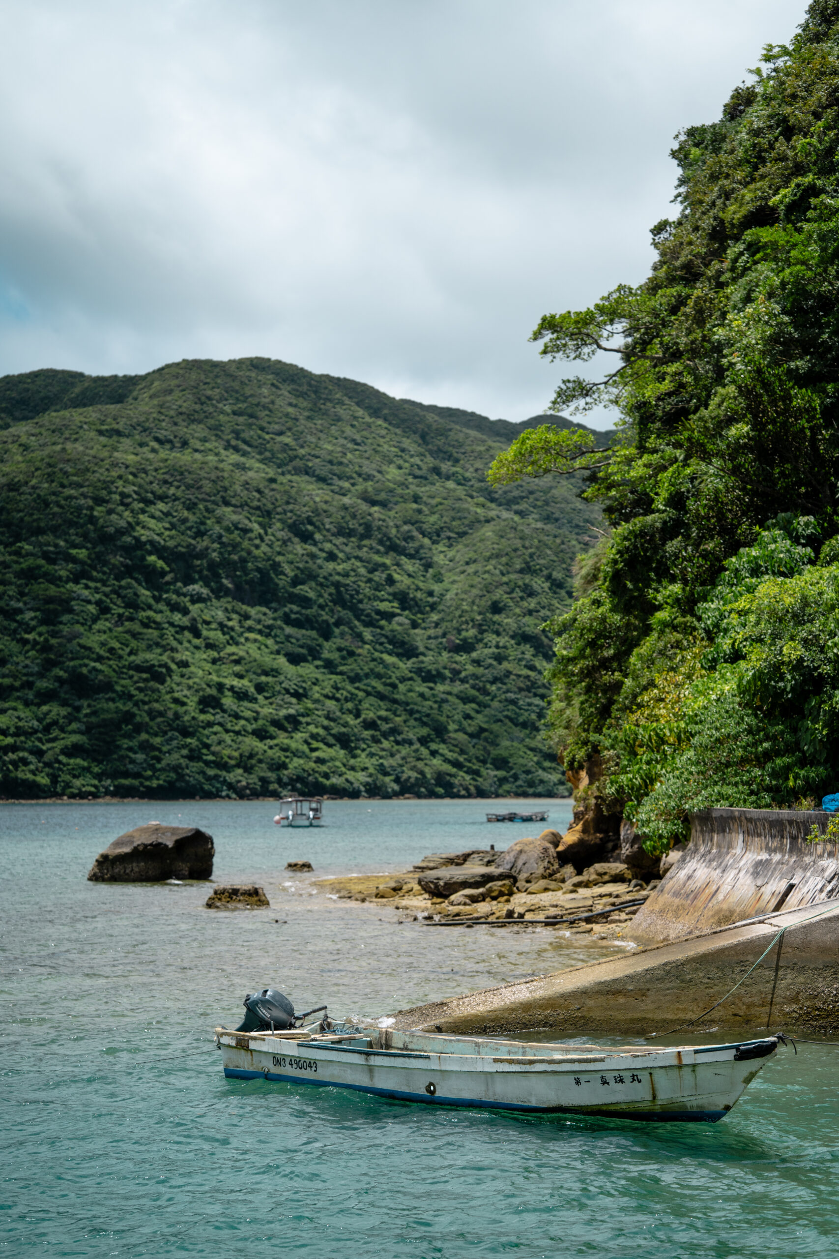 Iriomote