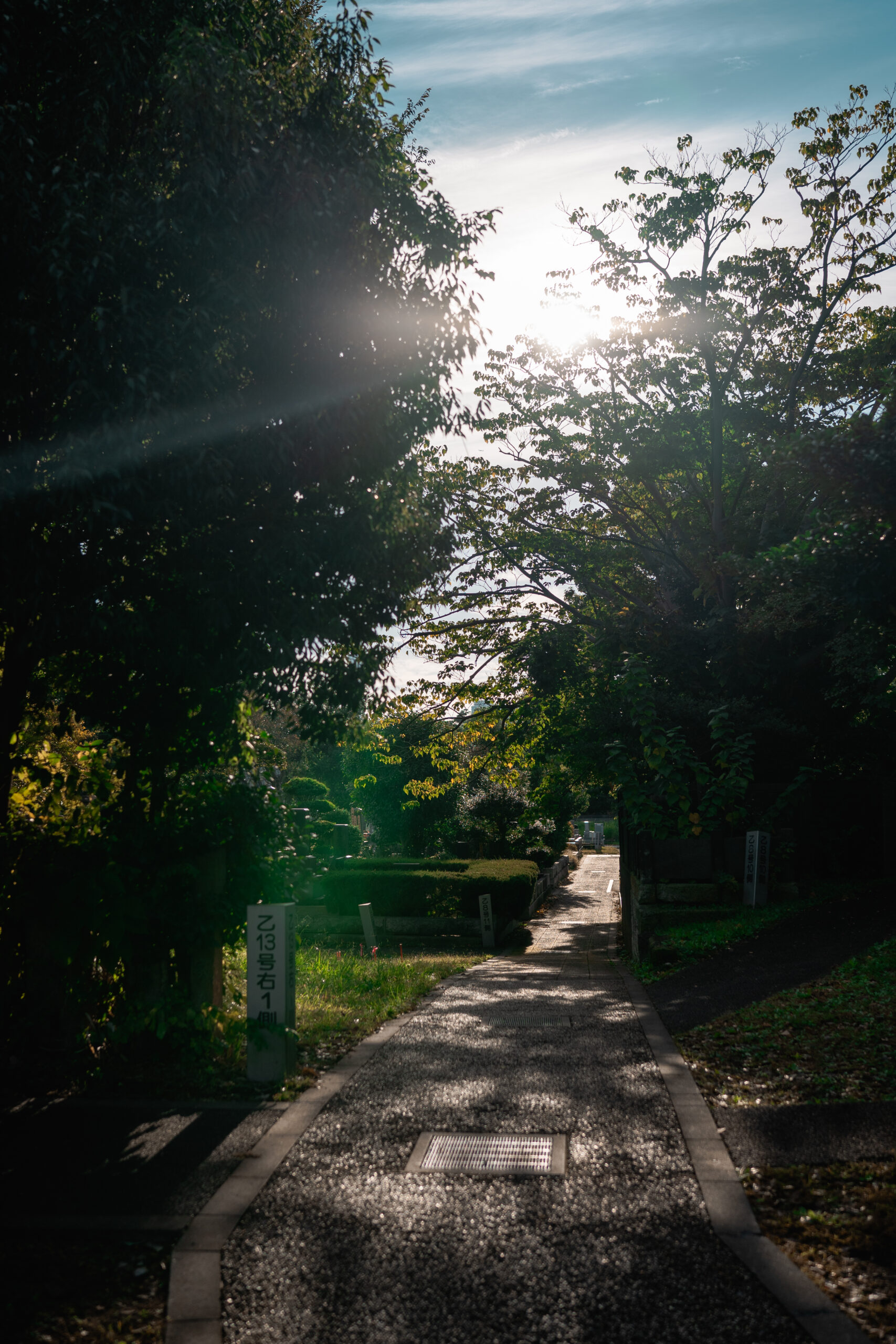 Yanaka cemetery