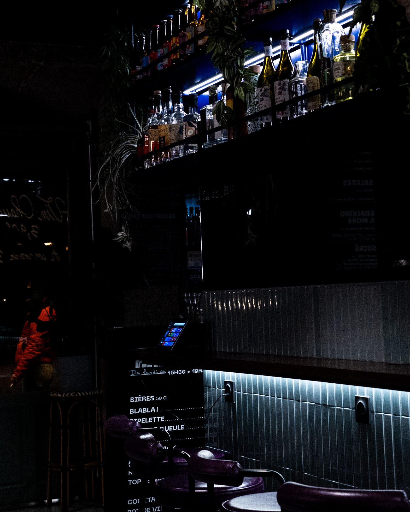 20230303_DSC02560